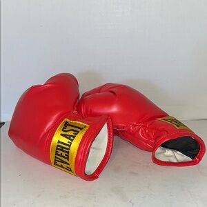 Everlast Red Boxing Gloves